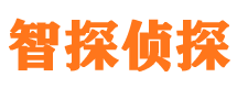 临海市私家侦探